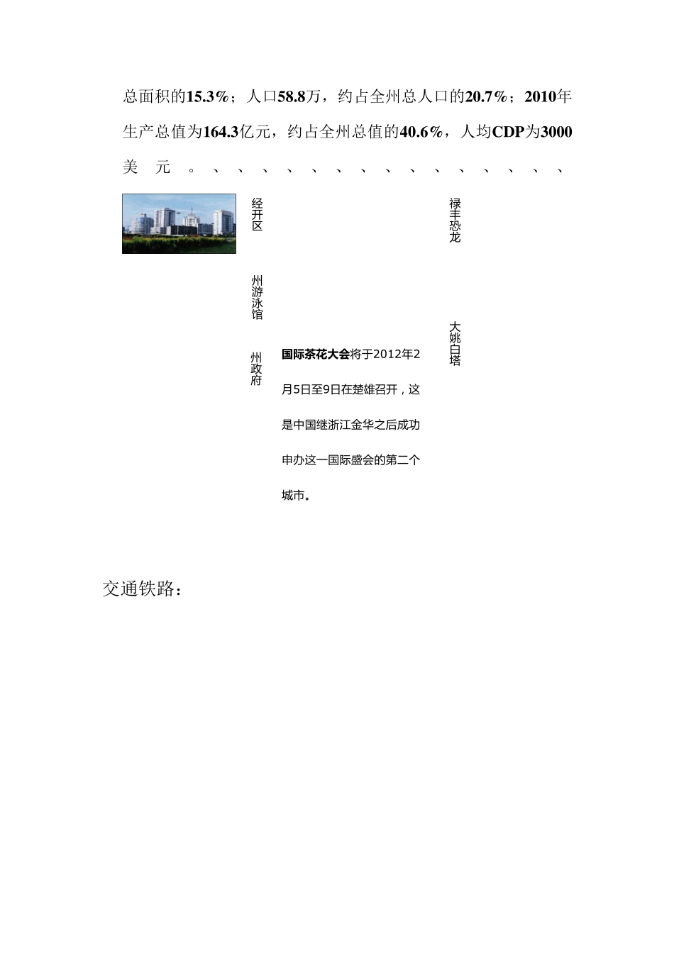 楚雄商业调查报告_第2页