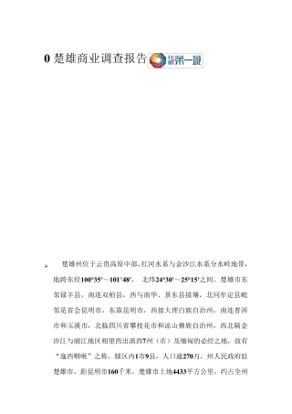 楚雄商业调查报告