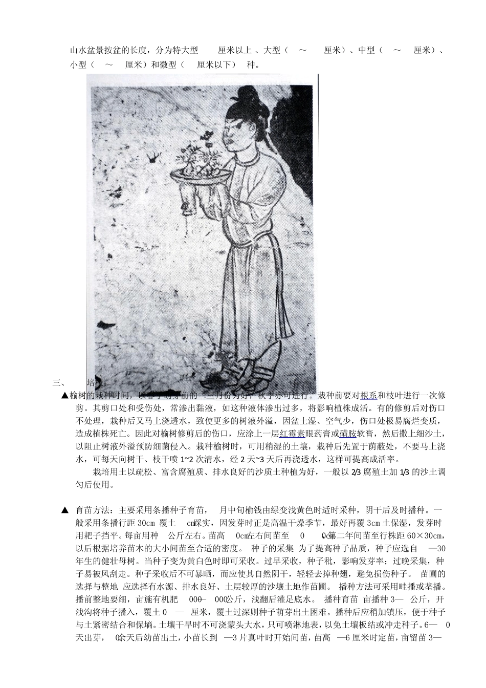 榆树盆景的栽培_第3页