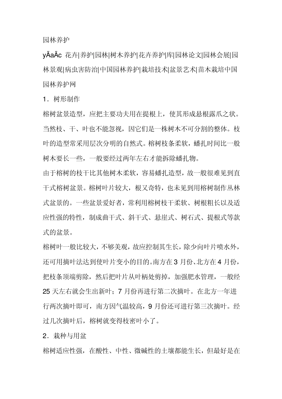 榕树盆景如何养护_第2页