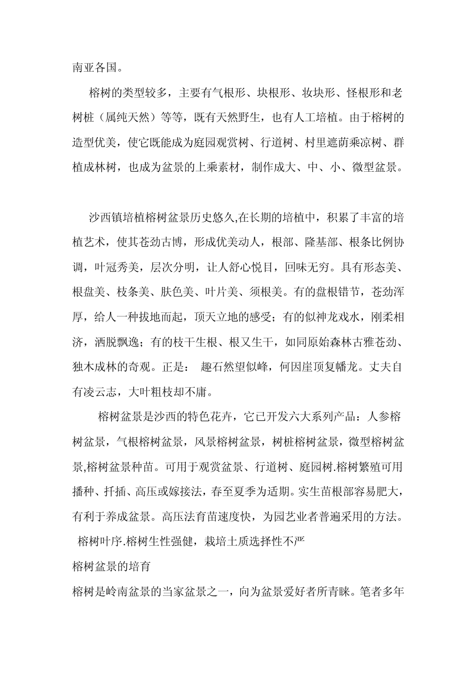 榕树盆景栽培,榕树盆景养护_第2页