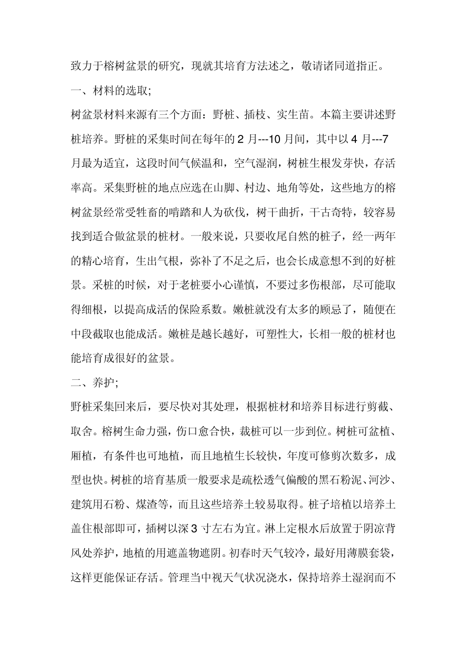 榕树盆景栽培,榕树盆景养护_第3页