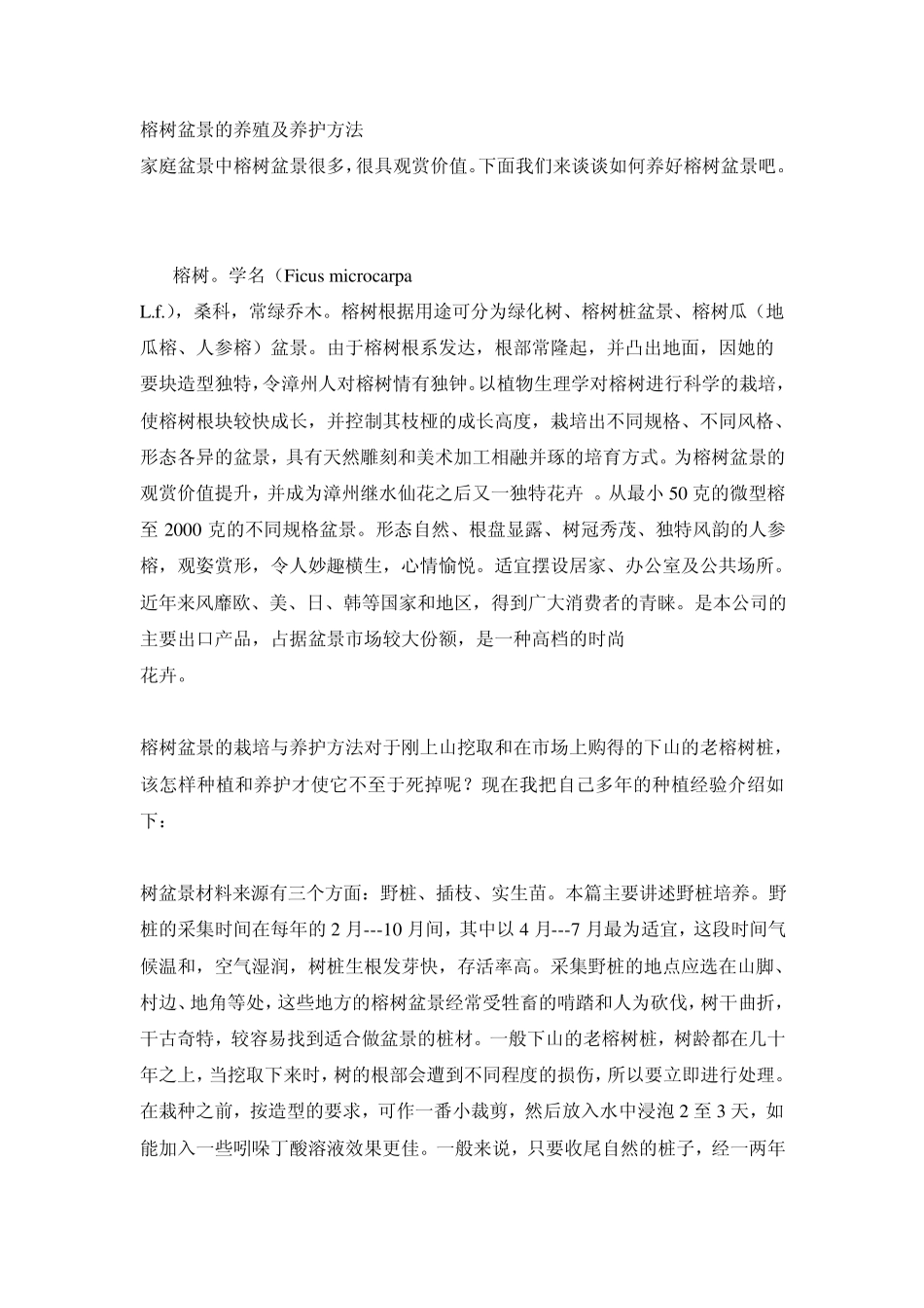 榕树盆景的养殖及养护方法_第1页