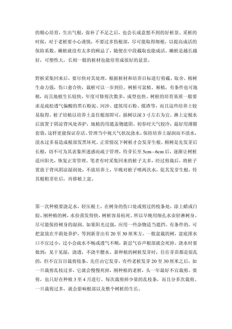 榕树盆景的养殖及养护方法_第2页