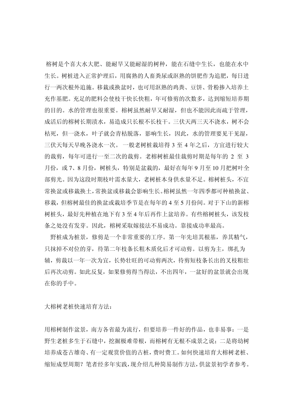 榕树盆景的养殖及养护方法_第3页