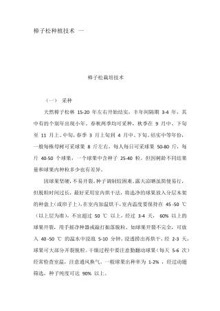 樟子松种植技术一