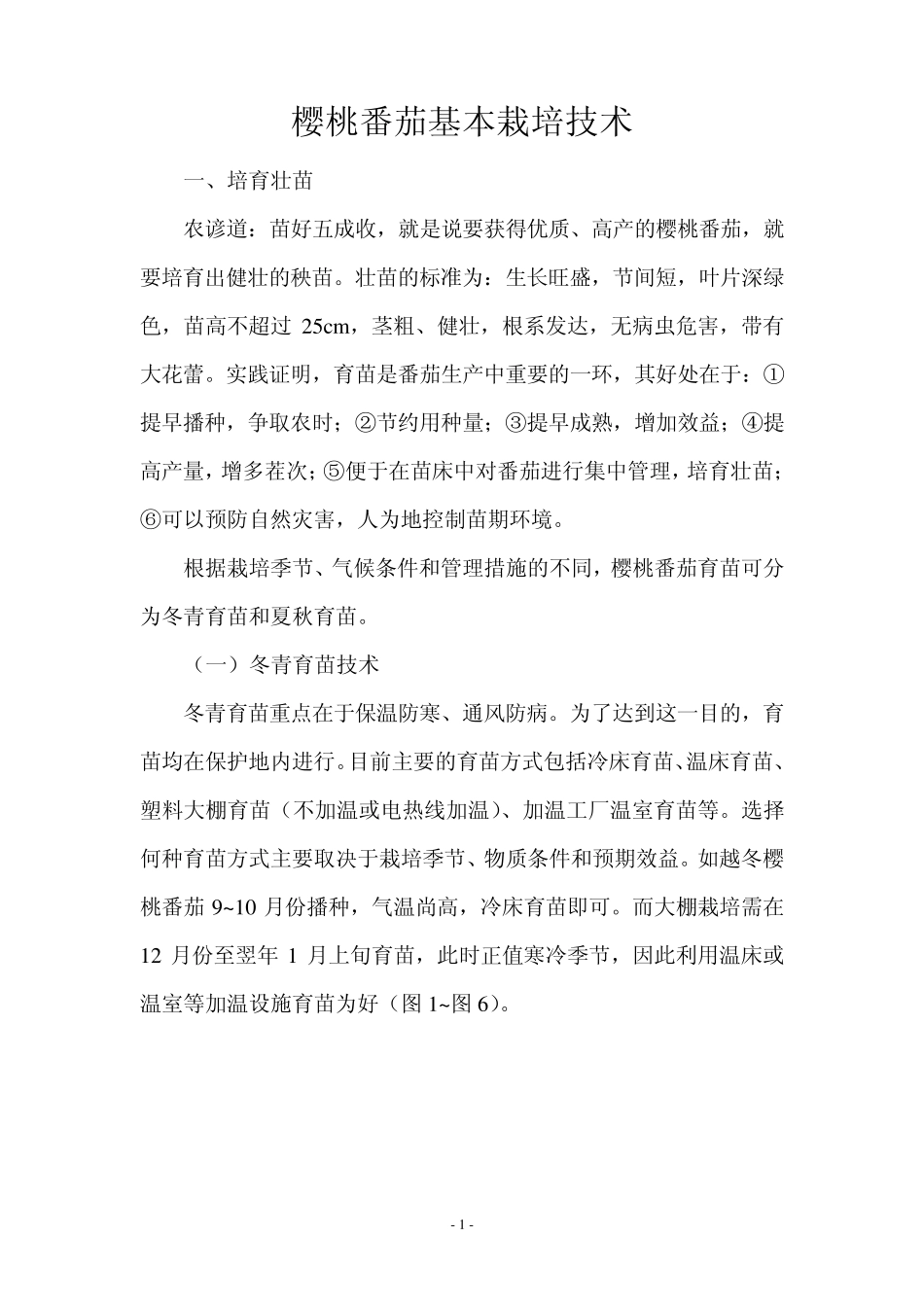 樱桃番茄基本栽培技术_第1页