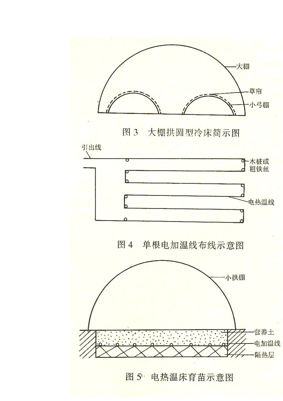 樱桃番茄基本栽培技术_第3页