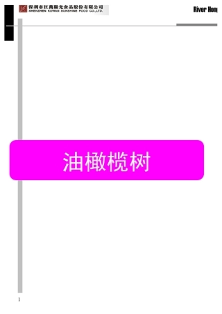 橄榄油手册—第一课—油橄榄树