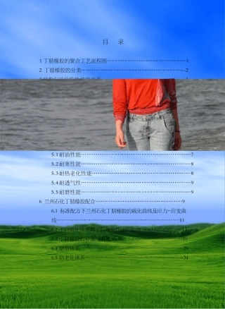 橡胶技术网__丁腈橡胶加工应用手册