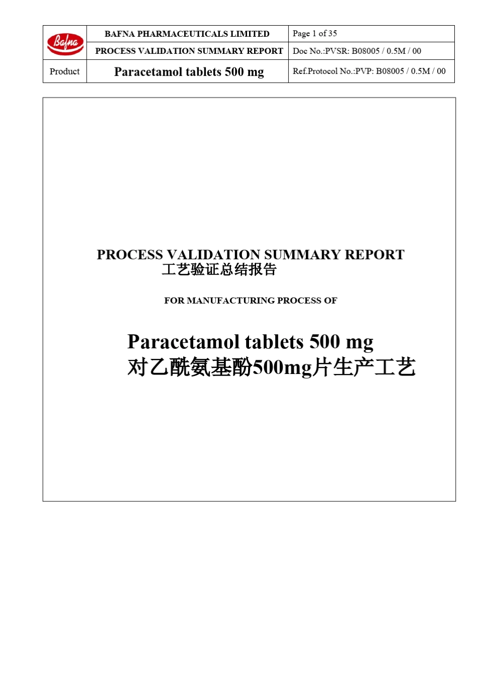 欧盟工艺验证报告(中英文翻译)_第1页