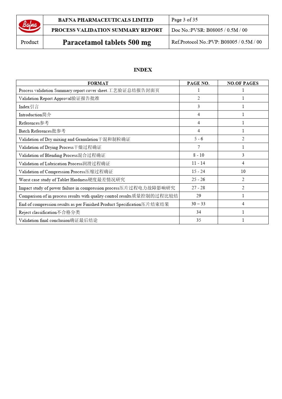 欧盟工艺验证报告(中英文翻译)_第3页