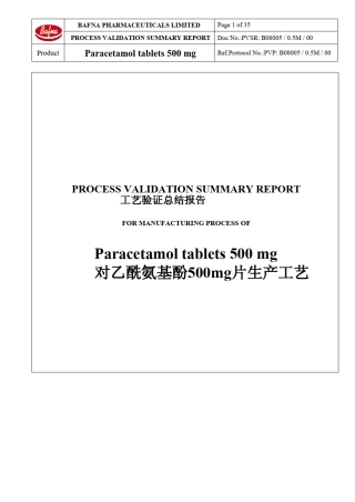 欧盟工艺验证报告(中英文翻译)