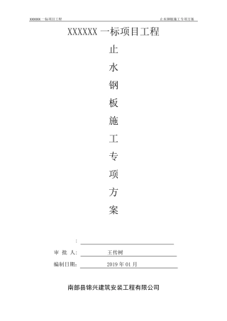 止水钢板专项施工方案