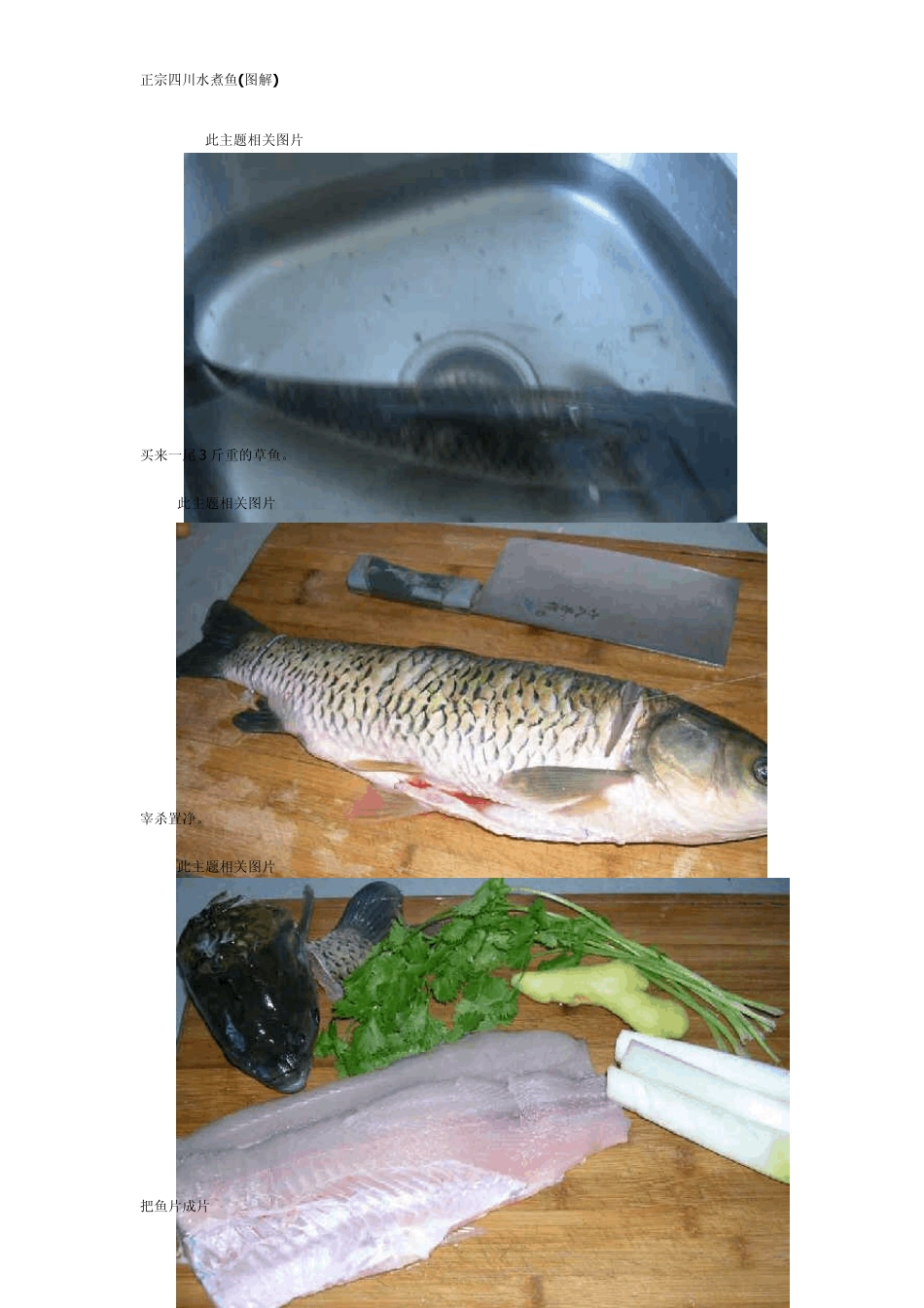 正宗四川水煮鱼_第1页