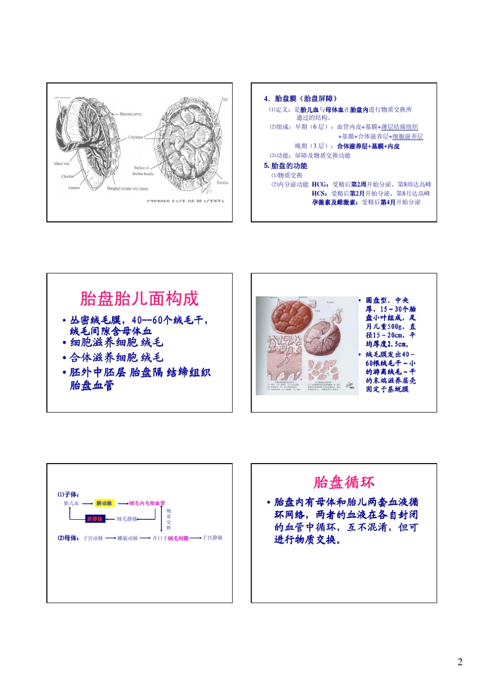 正常与病理胎盘超声_第2页