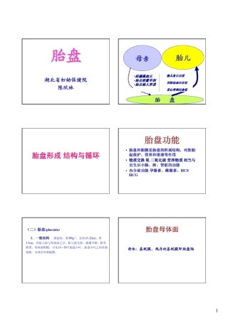 正常与病理胎盘超声