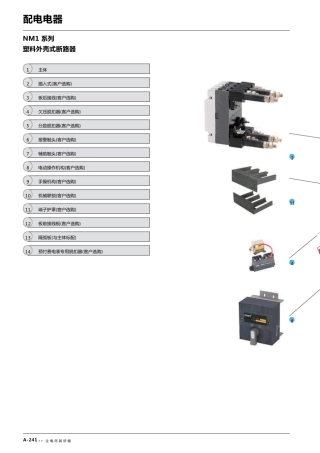 正泰NM1塑壳断路器样书