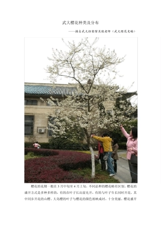 武大樱花种类及分布