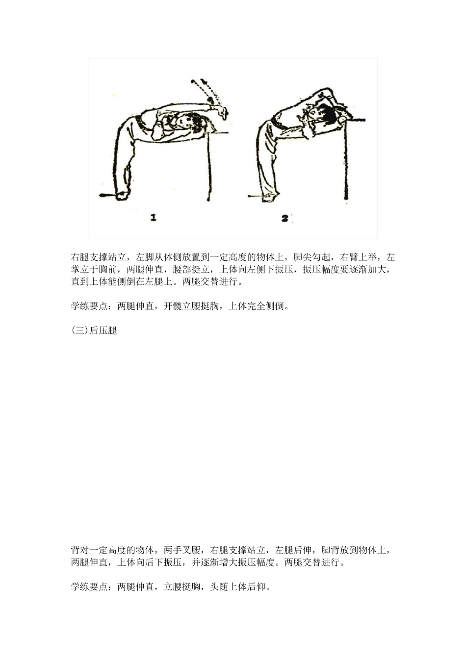 武术基本功和基本动作_第2页