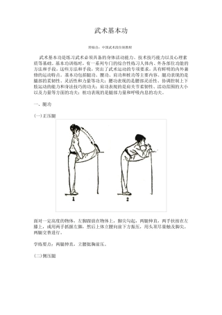 武术基本功和基本动作