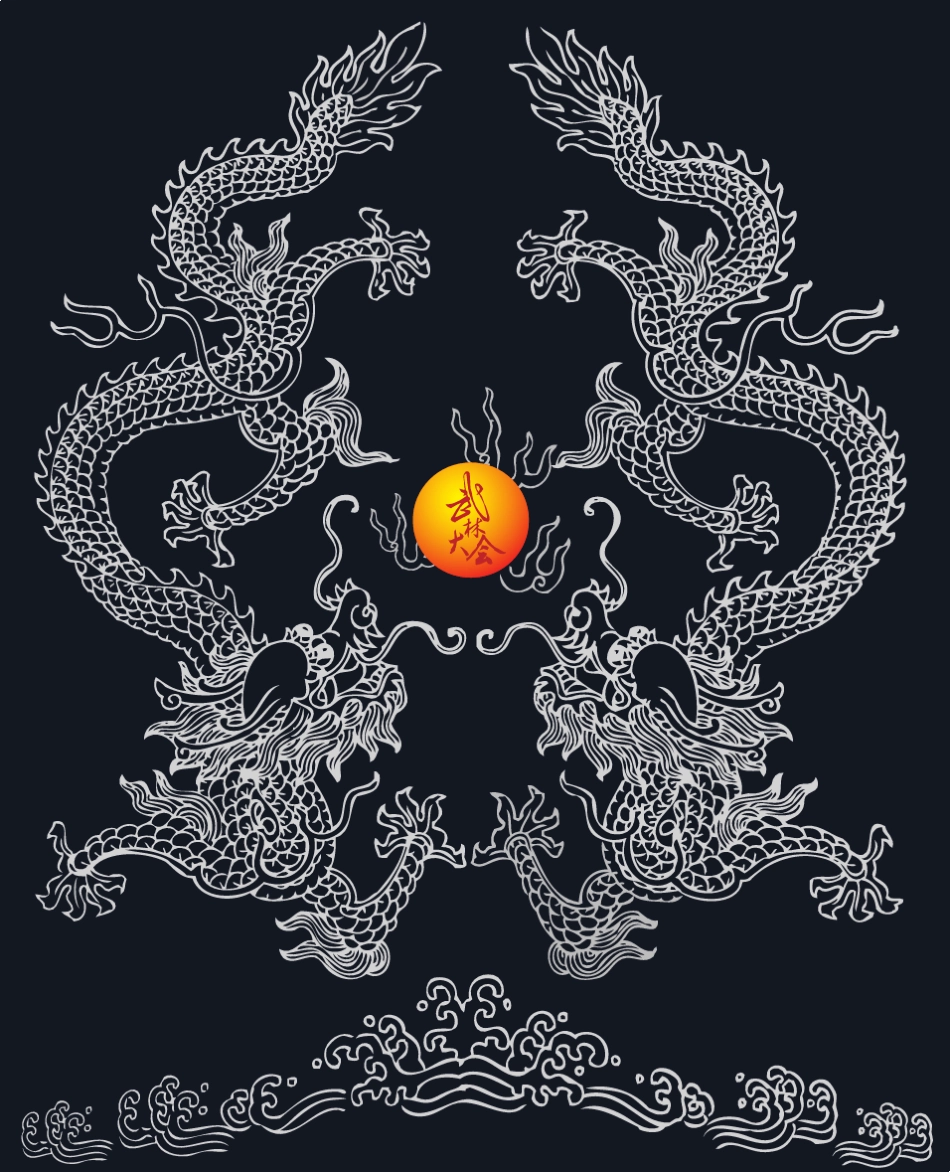 武林大会武术比赛策划_第1页