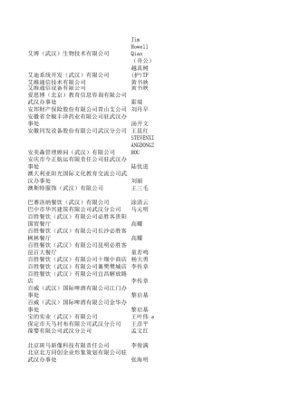 武汉中小企业法人