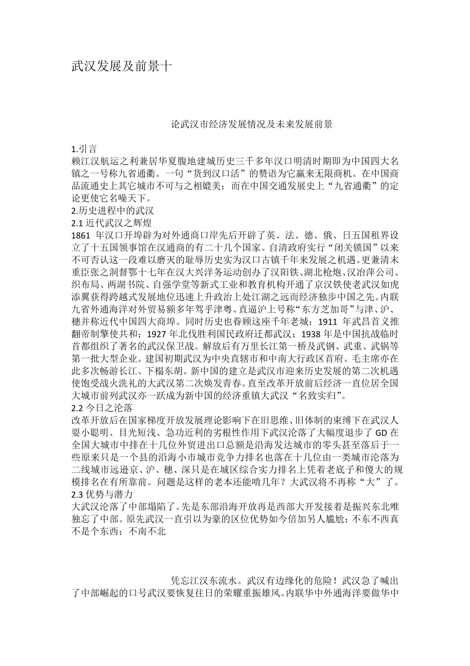 武汉发展及前景十_第1页