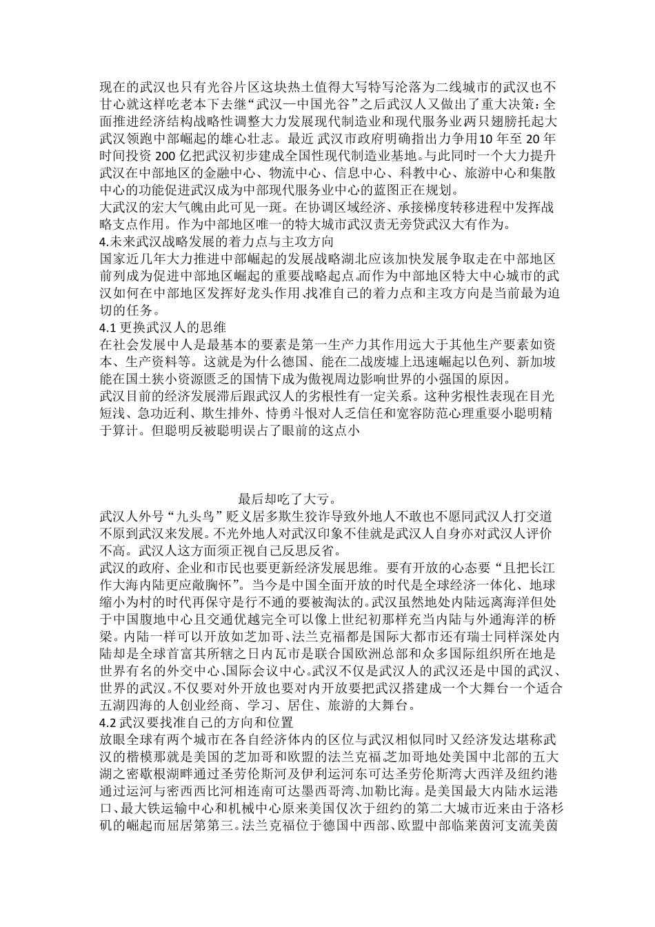 武汉发展及前景十_第3页