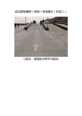 武汉檀树科目二考场图片