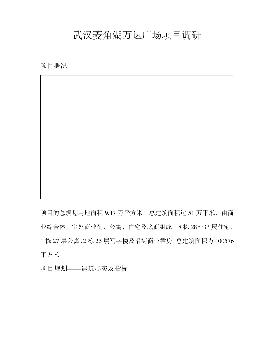 武汉菱角湖万达广场项目调研_第1页