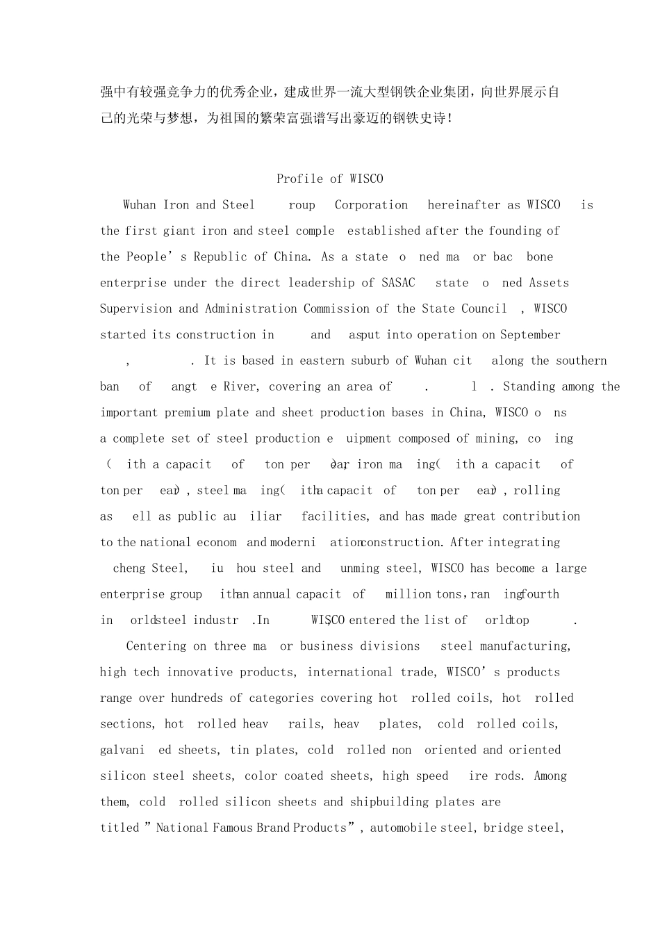武汉钢铁(集团)公司简介_第2页