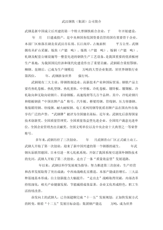 武汉钢铁(集团)公司简介