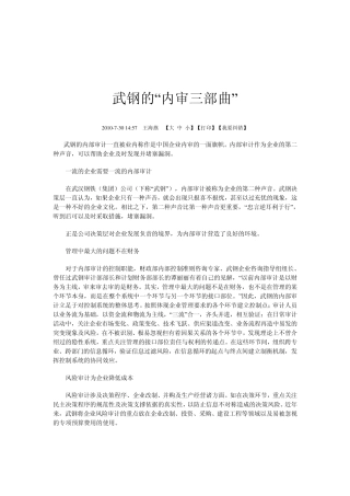 武钢内部审计