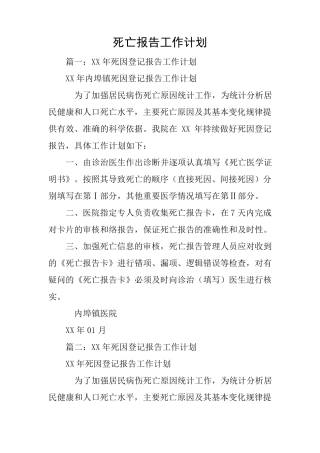 死亡报告工作计划