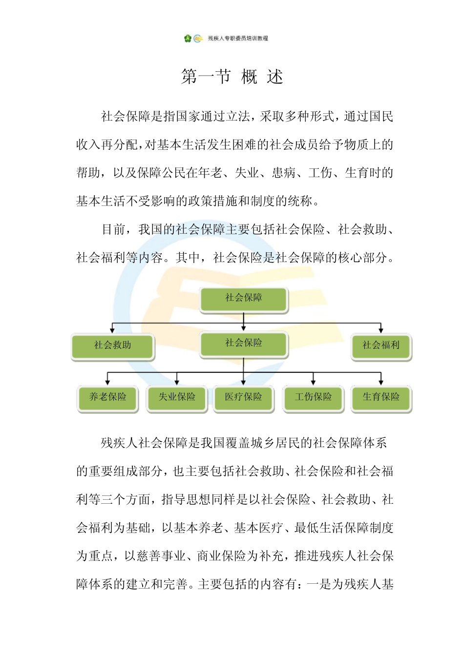 残疾人专职委员培训24.残疾人社会保障_第2页