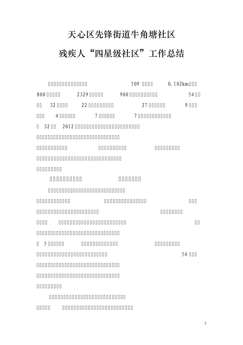 残疾人工作总结_第2页