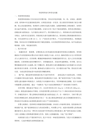 母乳喂养技巧和常见问题