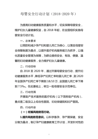 母婴安全行动计划