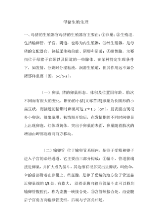 母猪生殖生理