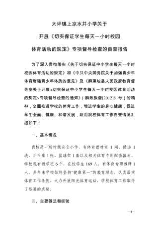 每天一小时体育活动自查报告