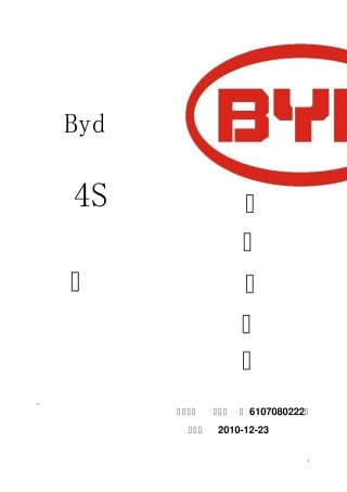 比亚迪BYD项目可行性报告