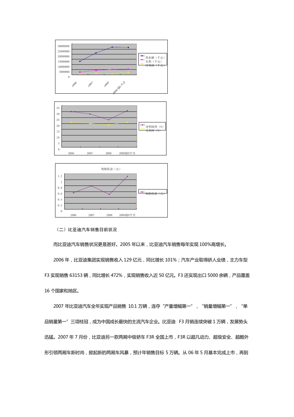 比亚迪市场定位市场细分报告_第2页