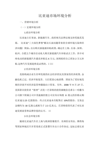 比亚迪市场环境分析