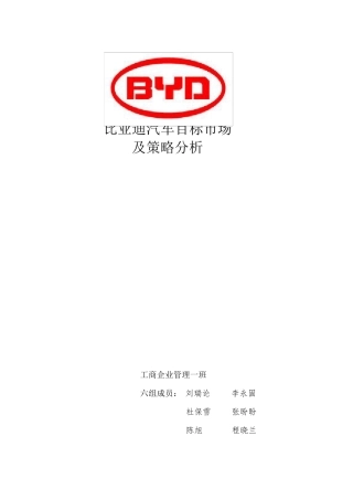 比亚迪汽车目标市场及其营销策略