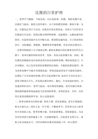 比熊的日常护理