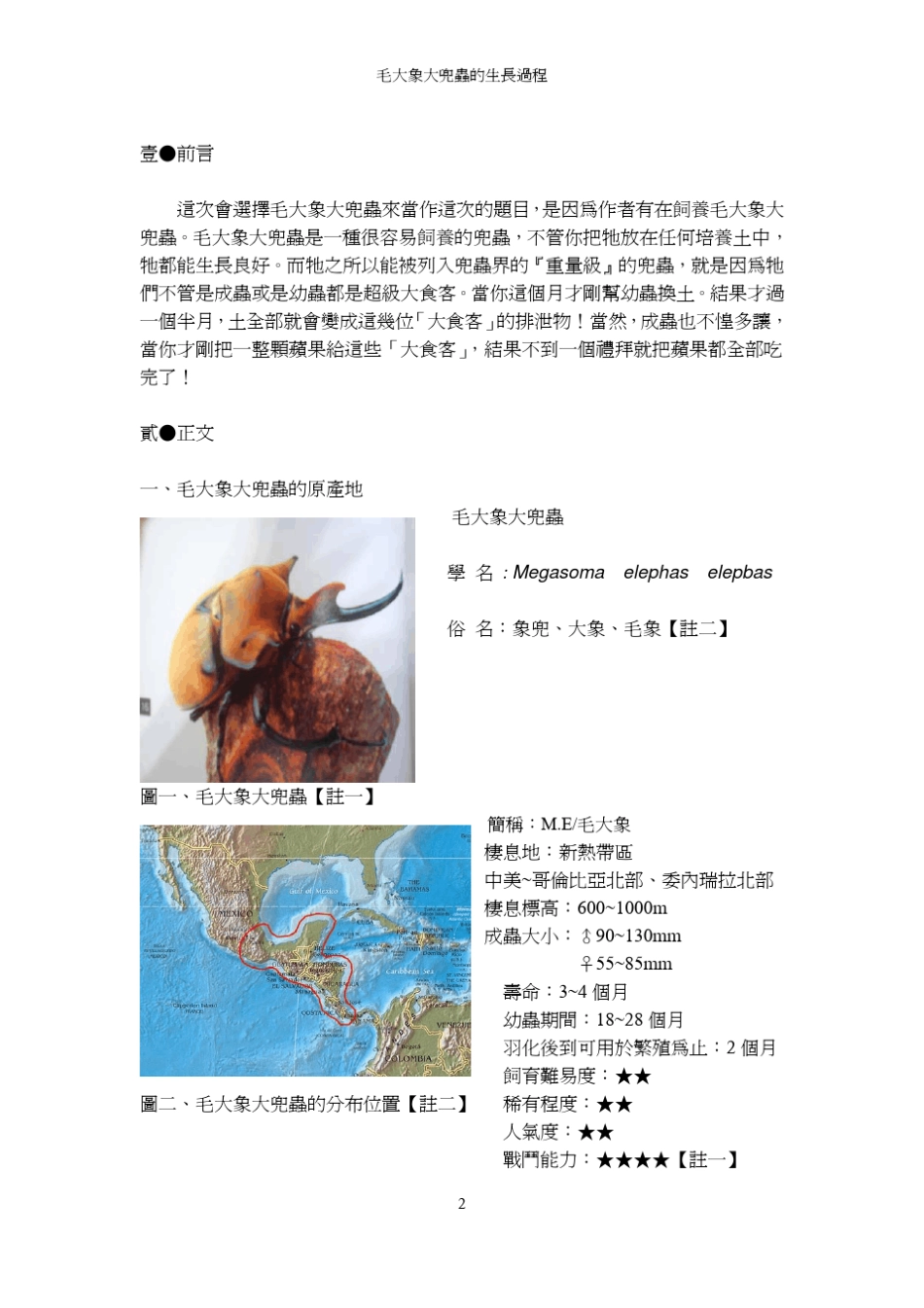 毛大象大兜虫的生长过程中学生网站_第2页