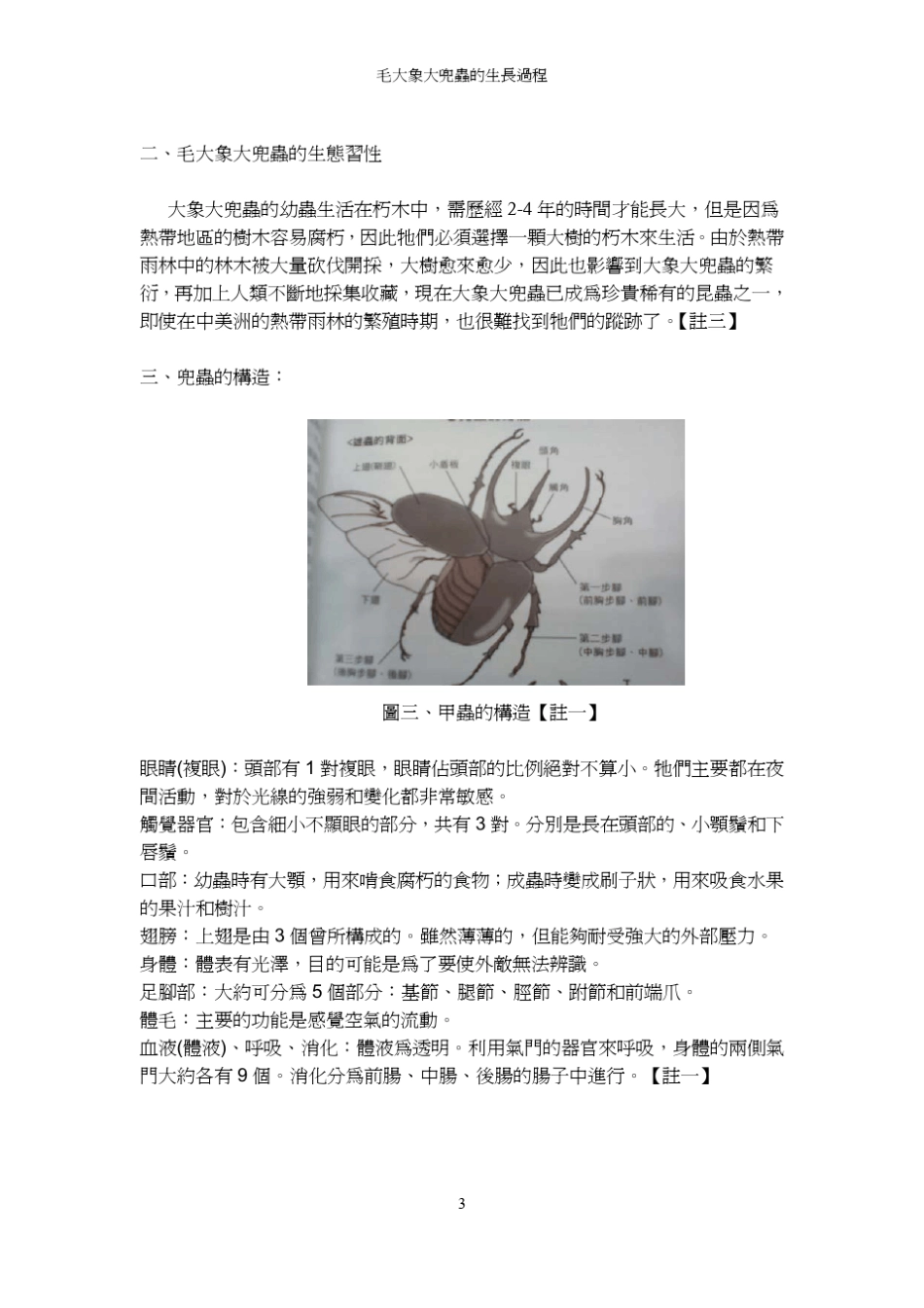 毛大象大兜虫的生长过程中学生网站_第3页