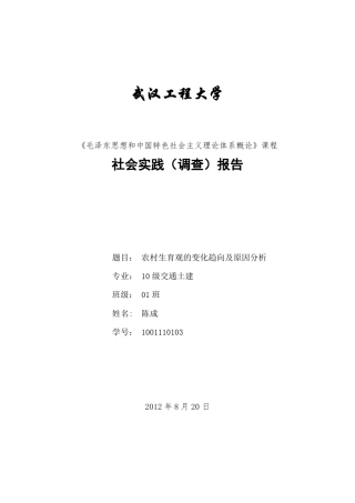 毛概暑期社会实践报告