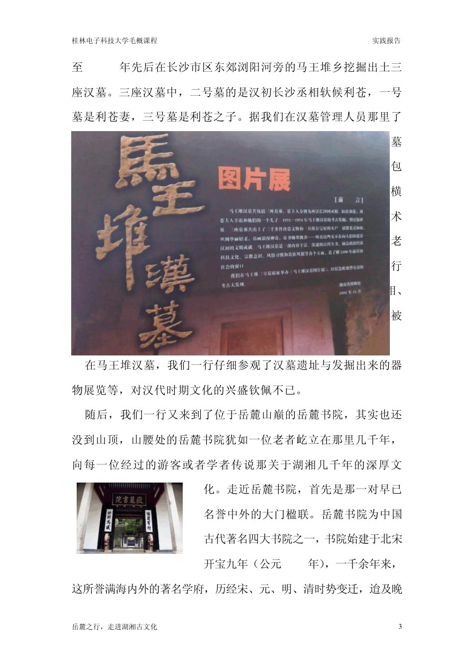毛概课程课堂实践调查报告_第3页